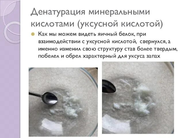 Влияние различных условий на структуру белков