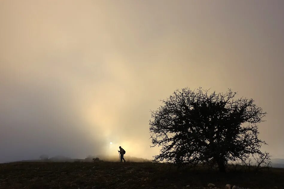 перспективы туманны