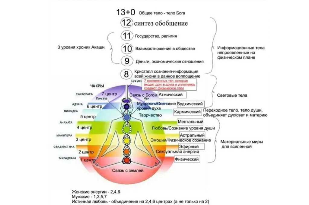 Средний уровень души. Структура энергетических тел человека. 7 Тел человека тонкоматериальная структура. Чакры энергетические центры тонких тел. Энергетические уровни человека чакры.