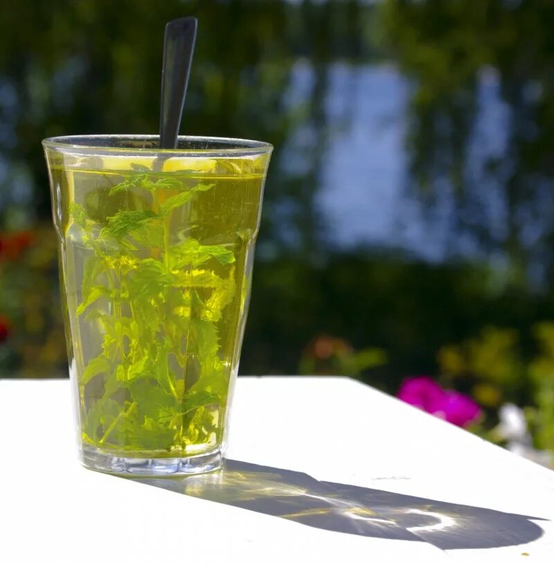 Зеленые холодной водой. Зеленый чай. Зеленый чай со льдом. Лаймовый чай. Холодный зеленый чай.