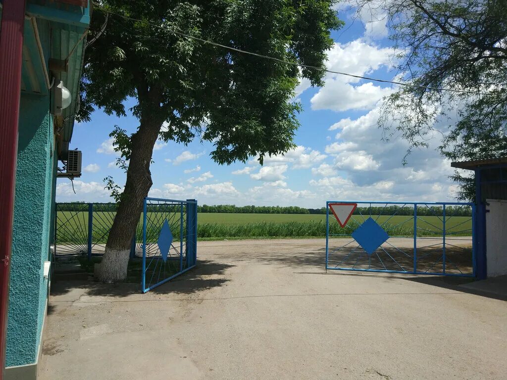 Ясенское сельское поселение. Станица копанская краснодарский край. Ясенская станица краснодарский. Ясенское сельское поселение. Станица ясенская памятник.