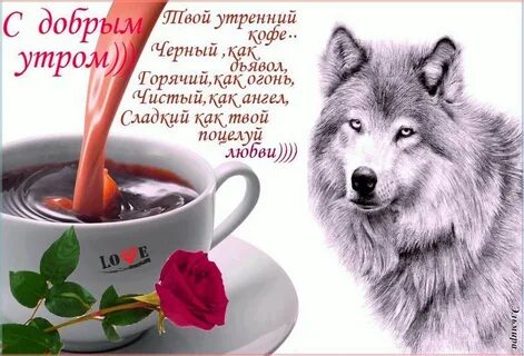 Доброе утро картинки с волком