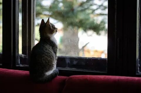 Next to the window
