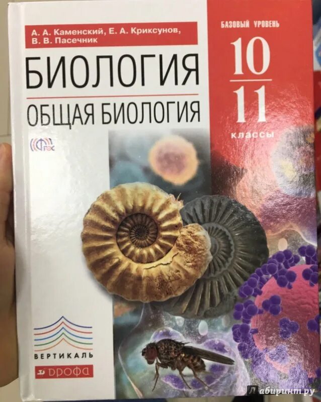 Учебник по биологии 10 класс пасечник читать