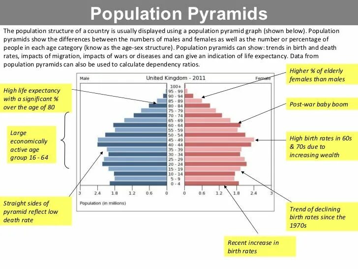 Population structure Pyramid graph. Population graph. Population Pyramid number of small mammals. Population Pyramid number Lemmings. Population based