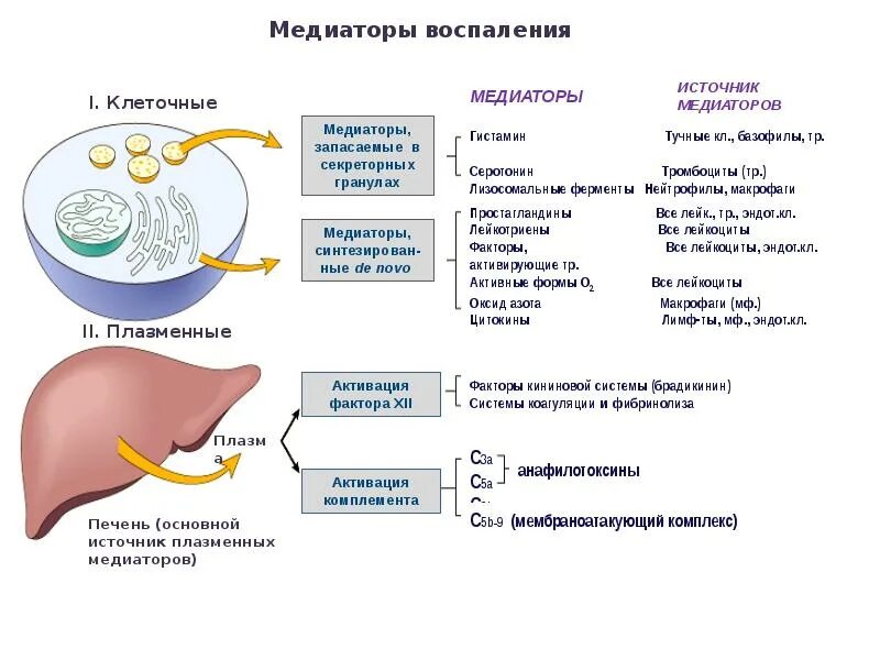 Медиаторы воспаления это. Медиаторы воспаления гистамин серотонин. Основные эффекты медиаторов воспаления. Источники клеточных медиаторов воспаления. Основные эффекты медиаторов воспаления таблица.