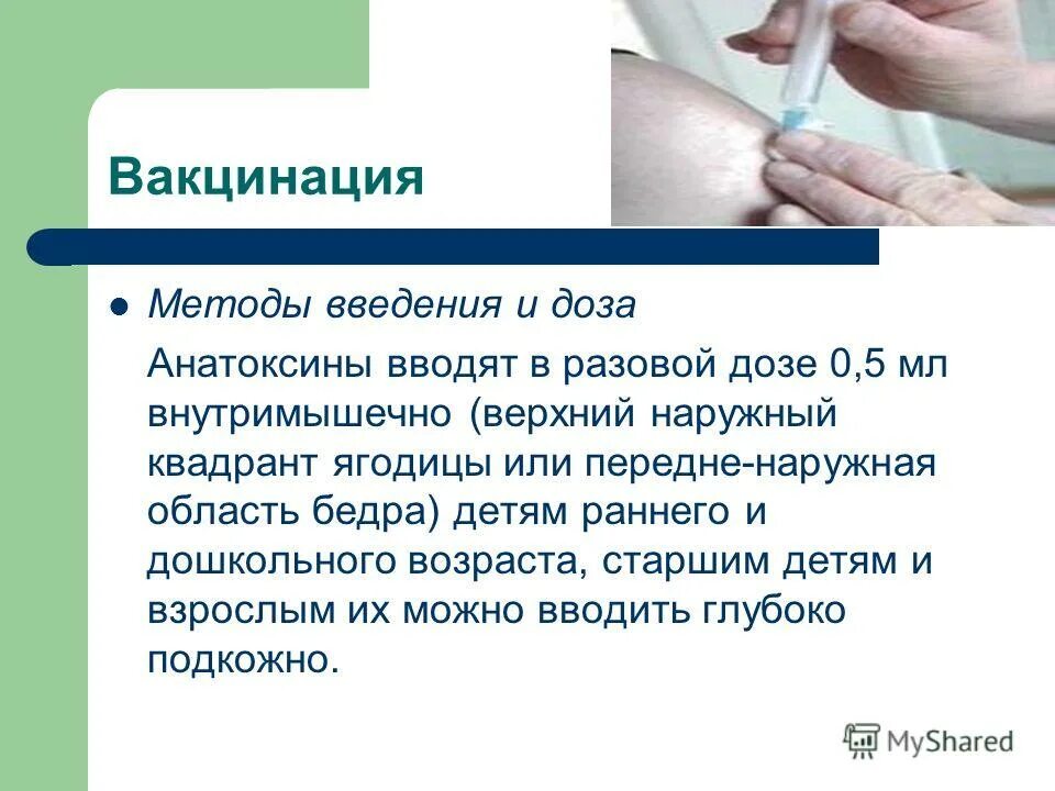 Болит рука после прививки от дифтерии. Введение вакцины. Метод введения вакцин. Внутримышечно вводятся вакцины.