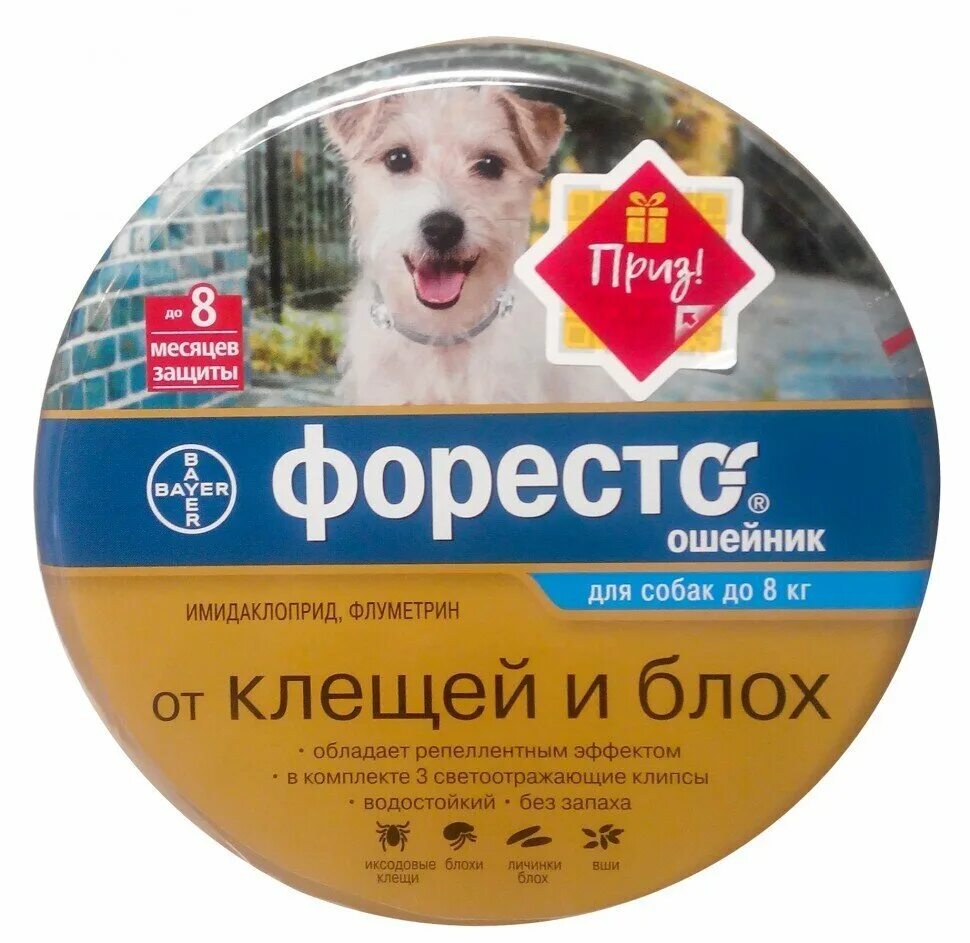 Форест ошейники для кошек. Ошейник для собак Bayer Форесто. Ошейник Форесто до 8 кг. Ошейник Bayer/Elanco Foresto для собак до 8 кг, 38 см.. Форесто ошейник для собак до 8.