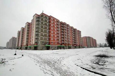 Ул загородная 43 4 колпино