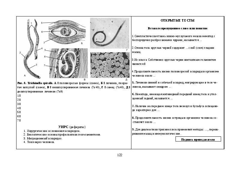 Тест черви егэ. Круглые черви класс нематоды 7 класс конспект. Конспект по теме Тип круглые черви. Конспект по биологии 7 класс тема круглые черви (нематоды). Тип круглые черви 7 класс биология.