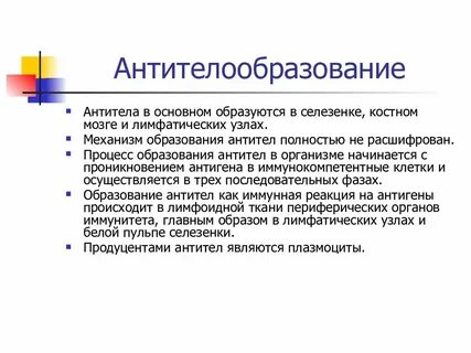 Время образуются антитела
