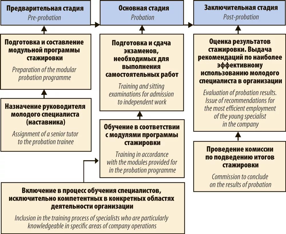 Инструкция наставника. План стажировки молодого специалиста. Схема стажировка. Планы стажировки персонала. Структура стажировки.