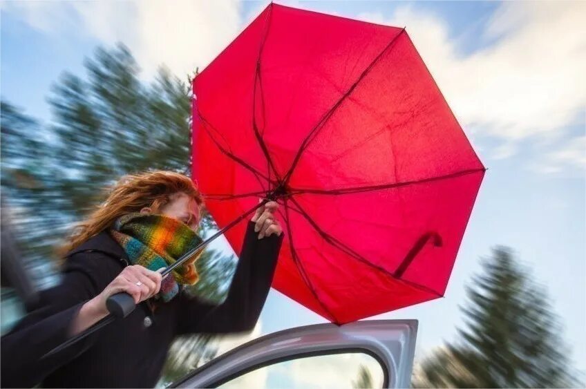 Зонтяра. Umbrella. Смешные фото с зонтом. Carrying an Umbrella. Зонтик ветер