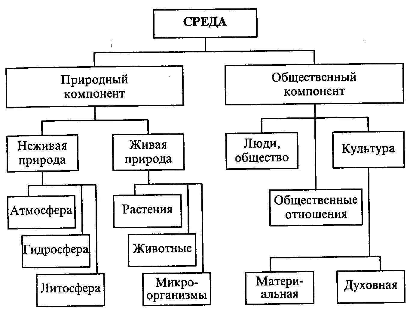 Главный природный компонент. Компоненты среды человека по н.ф Реймерсу. Схема компоненты окружающей человека среды. Составьте схему компоненты окружающей человека среды. Компоненты среды человека и общества (по д. ж. Марковичу).