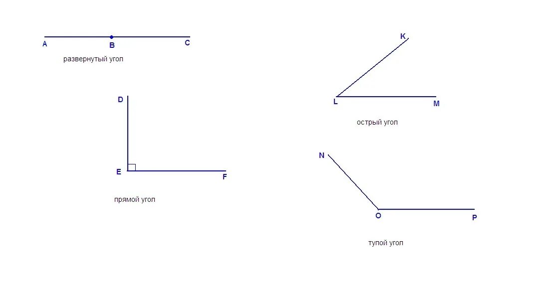 Линии образующие прямые углы. Прямой угол равен 90 градусов развернутый угол 180.