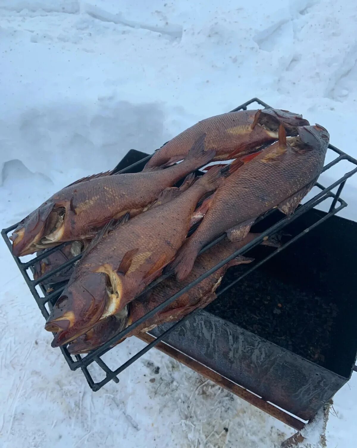 Коптим зимой. Коптим зимой. Коптилка горячего копчения. Коптильня на костре. Способы холодного копчения.