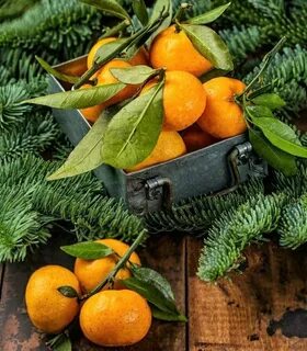 11 апельсины мандарины и лимоны 10