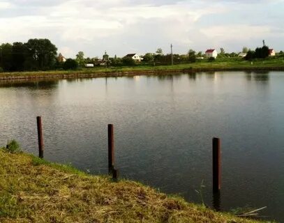 Пруд орел рыбалка