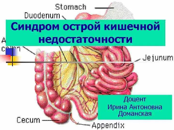 Дефицит кишечника