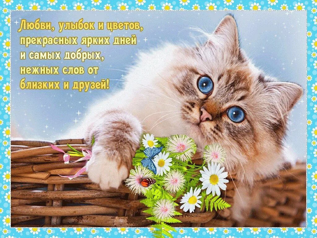 Настроение красивые слова. Добрые пожелания. самые добрые пожелания красивые. открытки с пожеланиями. открытки с пожеланиями добра.