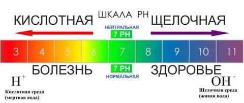 Кислая среда это какая