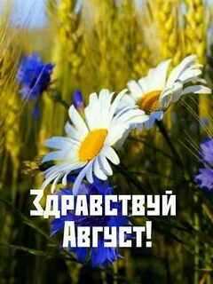 Благодатное лето синоним