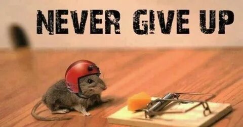 Give up example