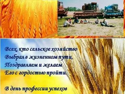 Музыкальное поздравление с днем сельского хозяйства