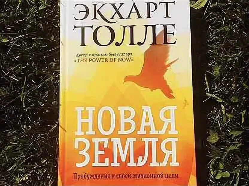 Толле книги отзывы. Толле книги отзывы