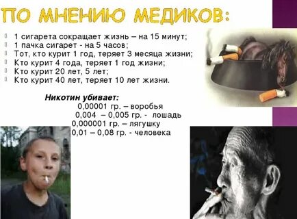 Сколько минут курят