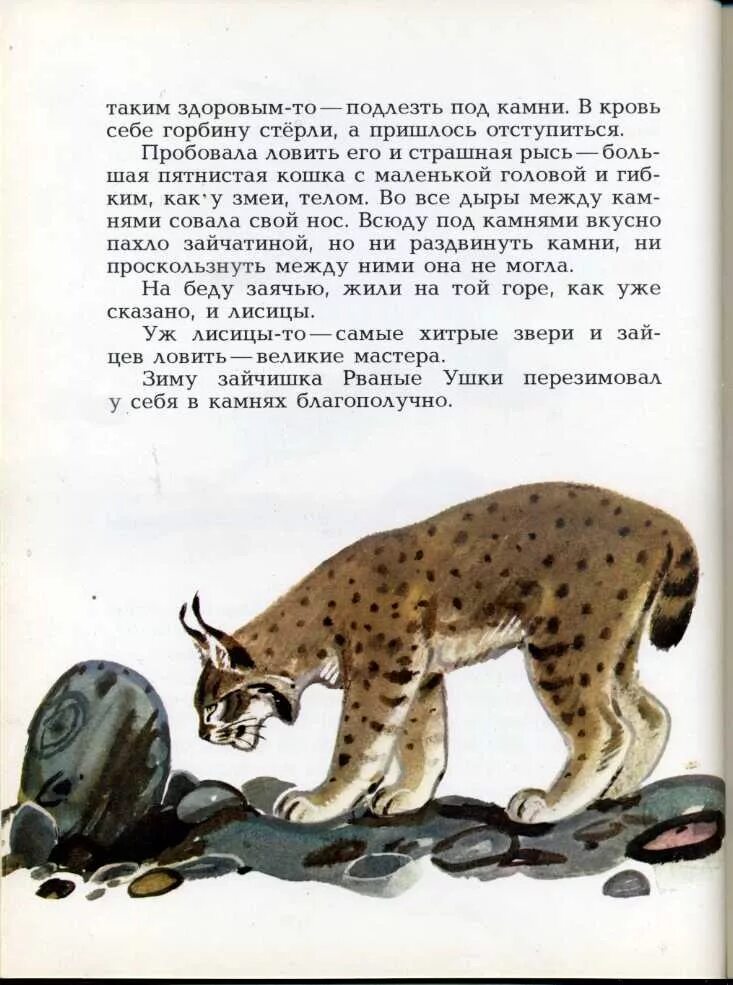 Н Сладков загадочный зверь. Загадочный зверь Сладков читать.