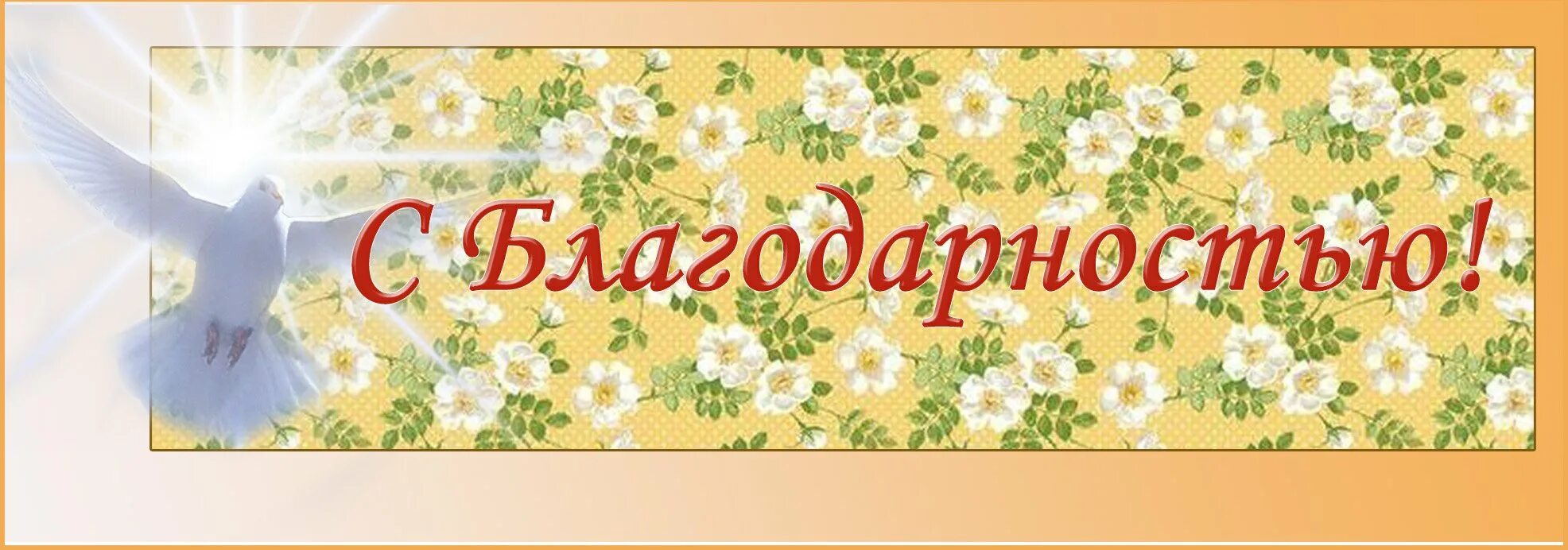 Благодарю за поддержку и уважение