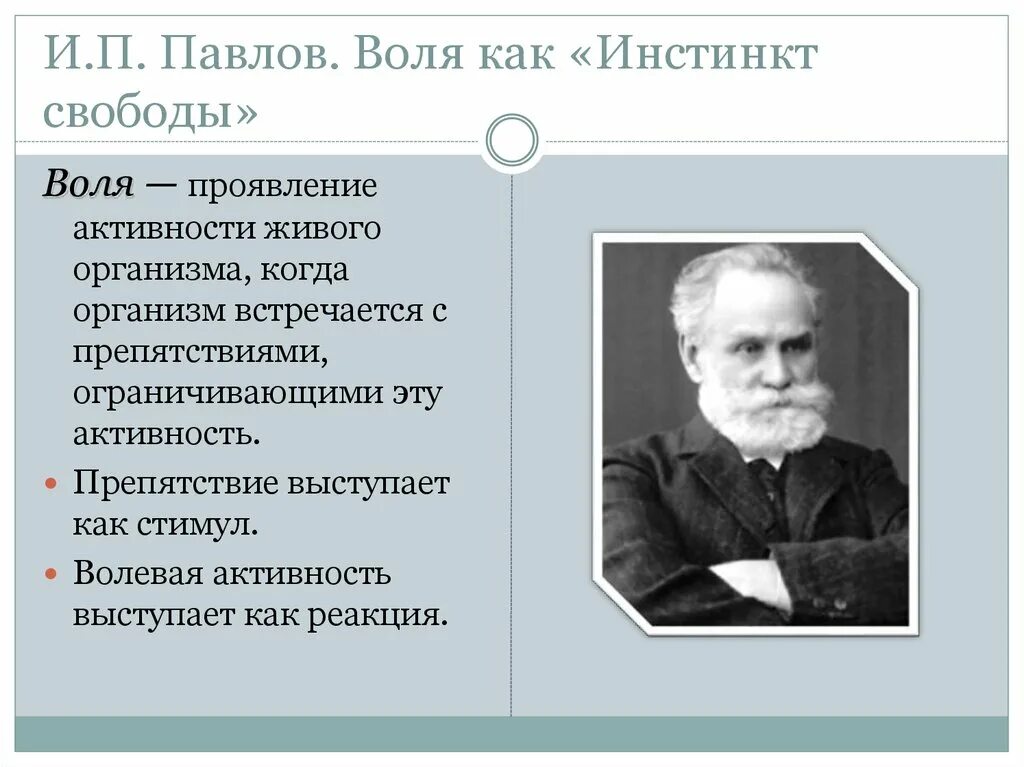 Теория и п павлова. И П Павлов. Инстинкты по Павлову. Воля по Павлову. Теории воли.