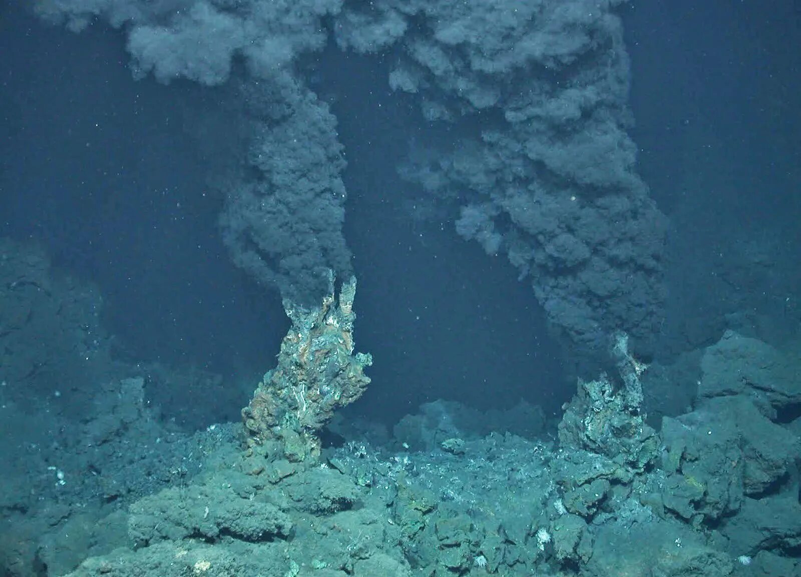Сероводород в черном море