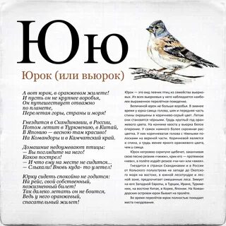 Юрок форум