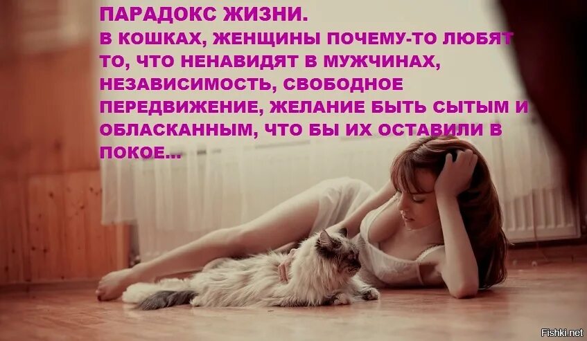 Парадокс девушки зло. Женский парадокс. Парадокс девушка. Парадоксы статистики. Парадокс надпись.