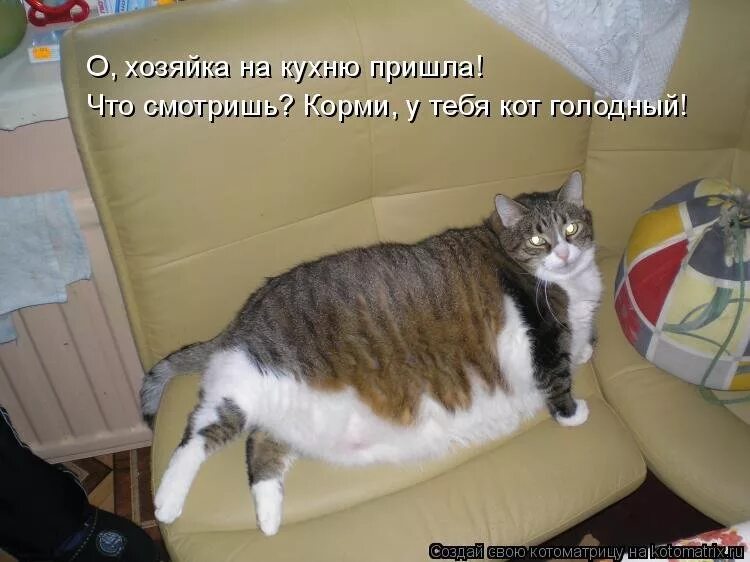 Иди откуда пришла