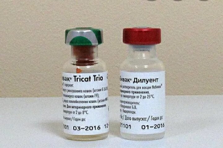 Вакцина Нобивак Tricat Trio с растворителем Нобивак Дилуент. Вакцинация кошек Nobivac Tricat Trio. Нобивак Дилуент для кошек. Tricat вакцина для кошек Нобивак Tricat.