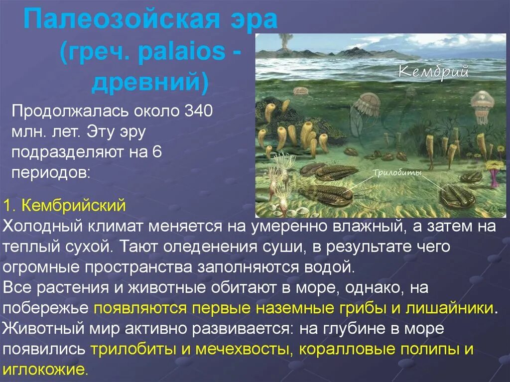 Палеозойская эра биология 9 класс. Палеозойская Эра климат. Палеозойская Эра презентация 9 класс. Палеозойская Эра периоды таблица. Палеозойская Эра события.