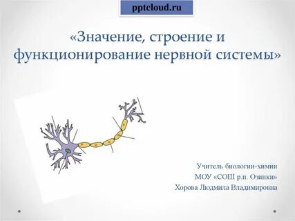 Презентации и их значение