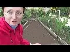 Что сажать в сентябре