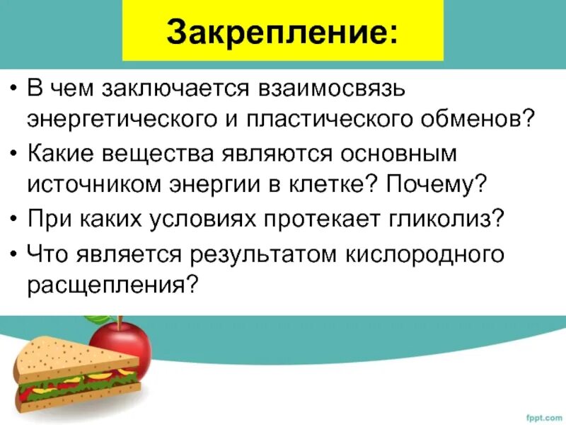 Какое вещество клетки является основным источником энергии