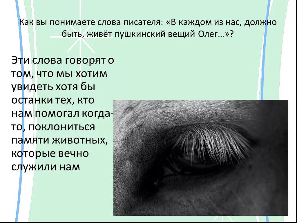 Как понять слово удовлетворен. Фёдор Абрамов о чём плачут лошади. Рассказ о чём плачут лошади. Как плачут лошади. О чем плачут лошади: рассказы.