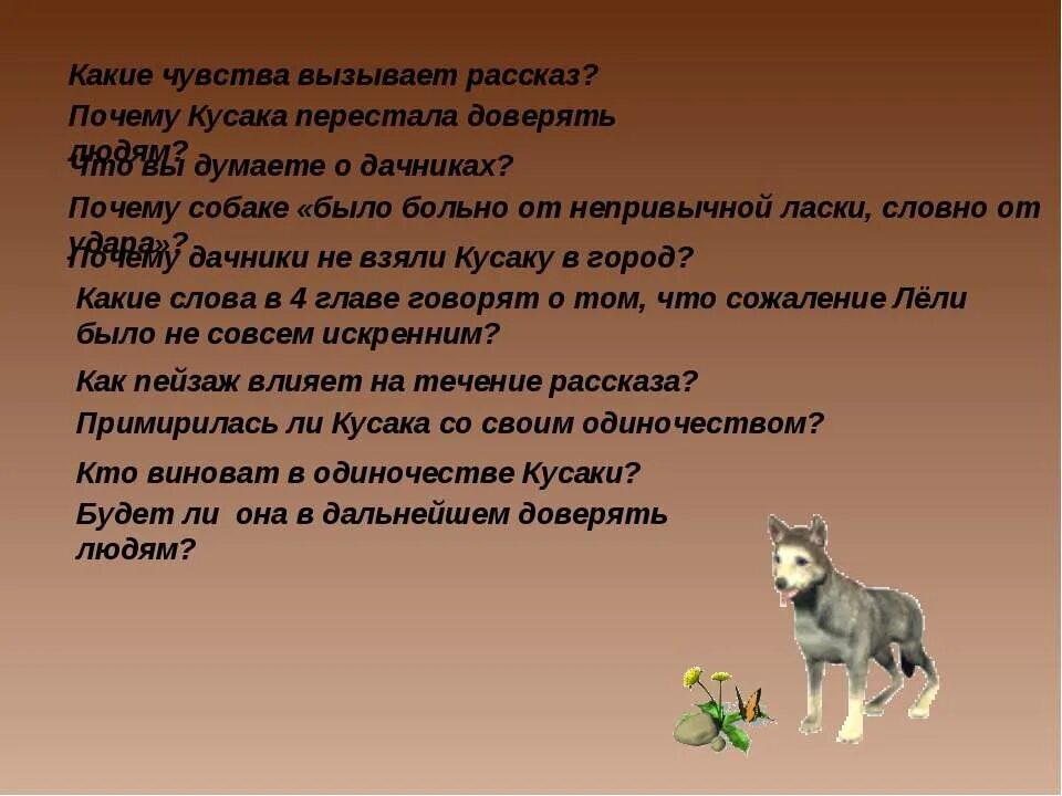 Собака из рассказа почему. Какие чувства вызывает рассказ. Рассказ кусака. Сочинение на рассказ кусака. Л. Андреев "кусака".