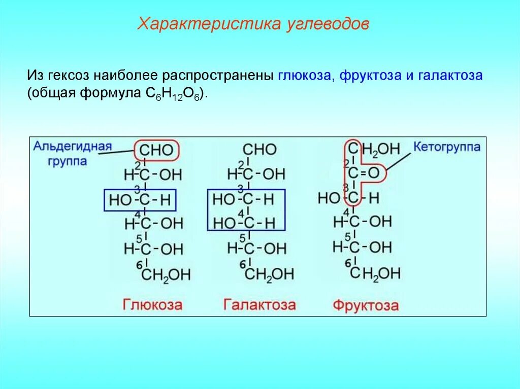 Формулы углеводов гексоза. Строение гексоз. Фруктоза характеристика. Глюкоза фруктоза галактоза формулы. Гексоза это