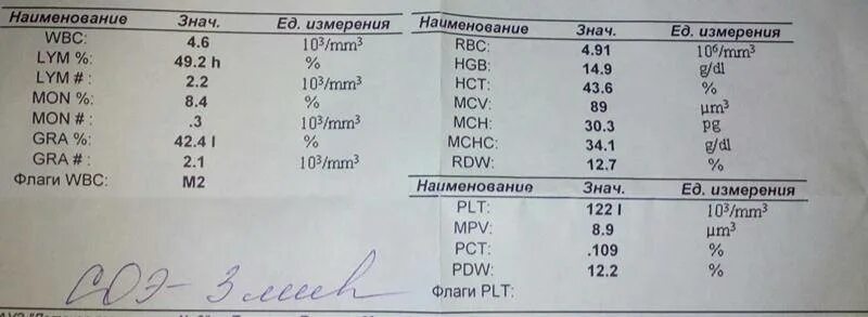 Rdw понижено у женщин. MPV L В анализе крови что это. Клинический анализ крови MPV. Что такое MPV В анализе крови у женщин. Общий анализ крови MPV что это.