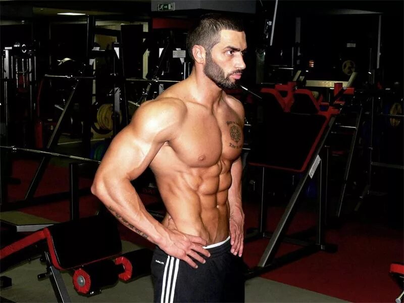 Lazar Angelov. Лазар ангелов фото. Лазар даштакеци. Качок рельеф. Спортик это кто