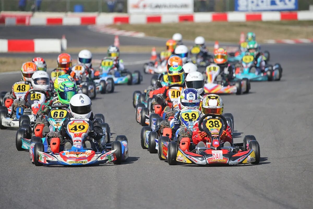 Карт рейсинг. Go Race картинг. Go Kart, Gokart,. Гонщики формулы 1. Картинг GP Racing 2008 года.