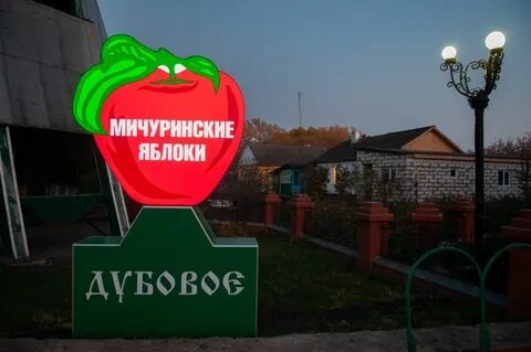 Работа в дубовом