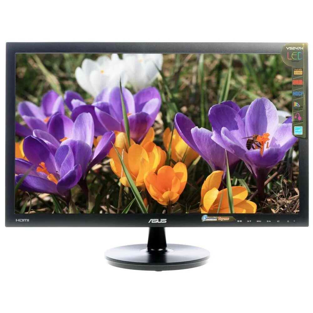 Монитор купить ситилинк. Philips 226v4l. Philips 226v4lsb, 1920x1080, 75 Гц, TN. Монитор Филипс 21 дюймов. Монитор ASUS 23 дюйма.